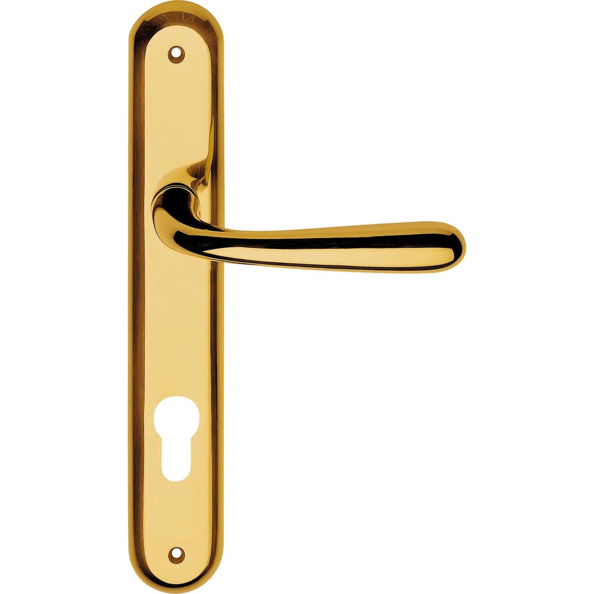 lcbulk-garda-670pl Door handle on backplate Garda — Linea Calì 670 PL - Image 1