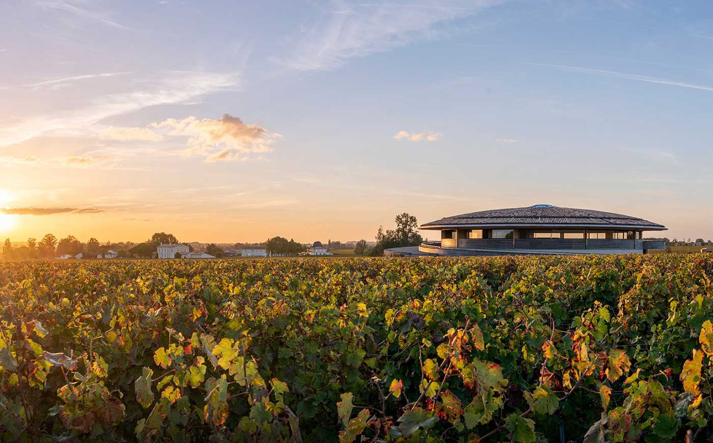 dom winery Bordeaux