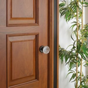 Pomolo Singolo per porta ARUM 4817BIS